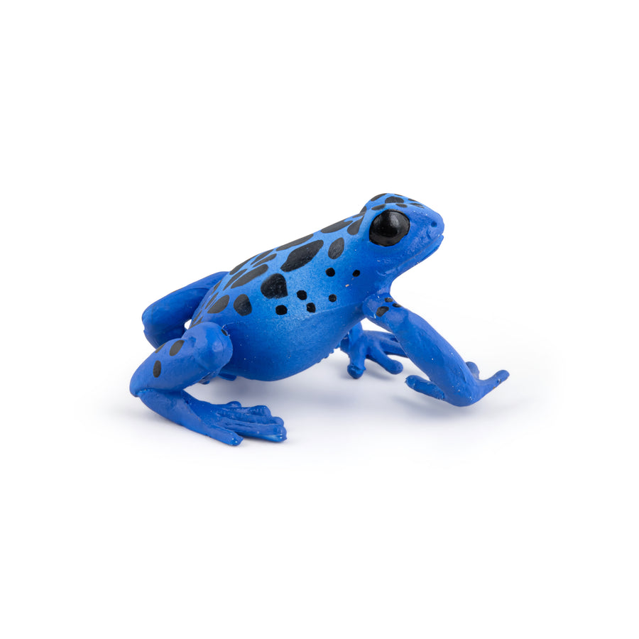 Grenouille équatoriale bleue Papo en PVC, Collection Animaux sauvages, jouet éducatif idéal pour enfants et collectionneurs