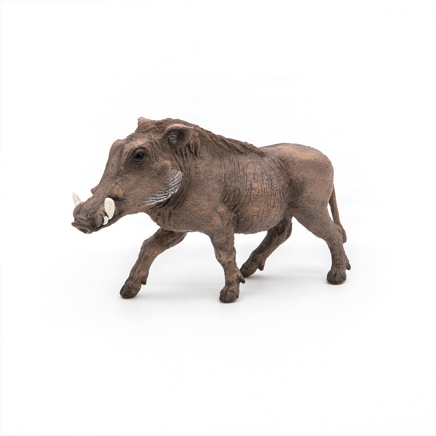 Figurine Phacochère Papo en PVC, thème savane, Collection Animaux sauvages, jouet éducatif idéal pour enfants et collectionneurs