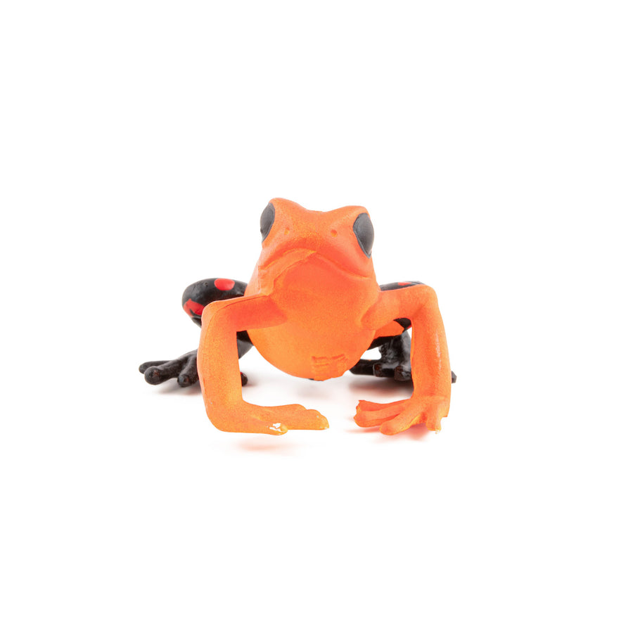 Grenouille équatoriale rouge Papo en PVC, Collection Animaux sauvages, jouet éducatif idéal pour enfants et collectionneurs