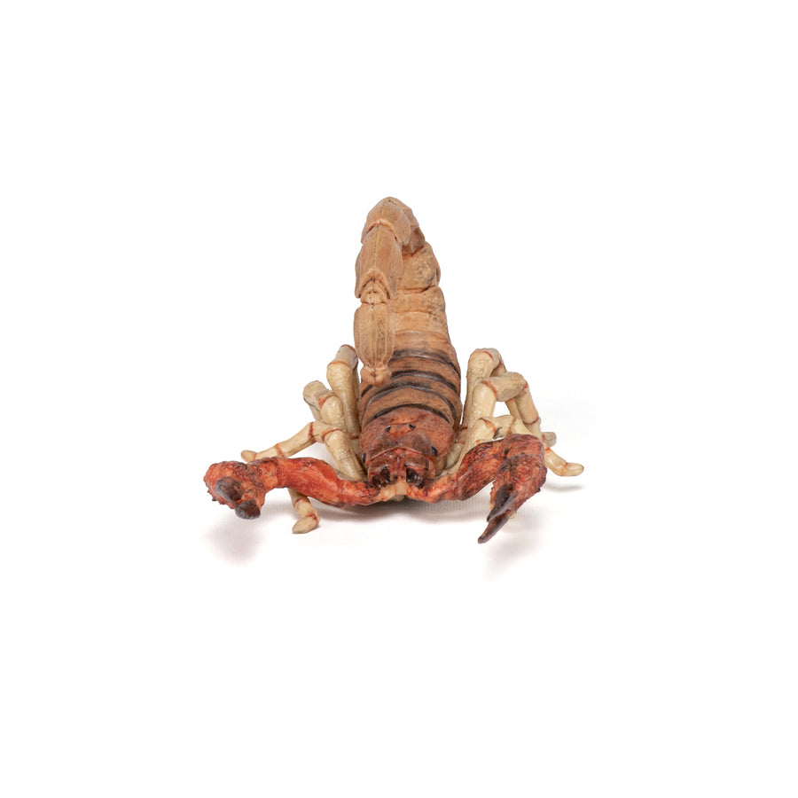 Scorpion Papo en PVC, Collection Animaux sauvages, jouet éducatif idéal pour enfants et collectionneurs
