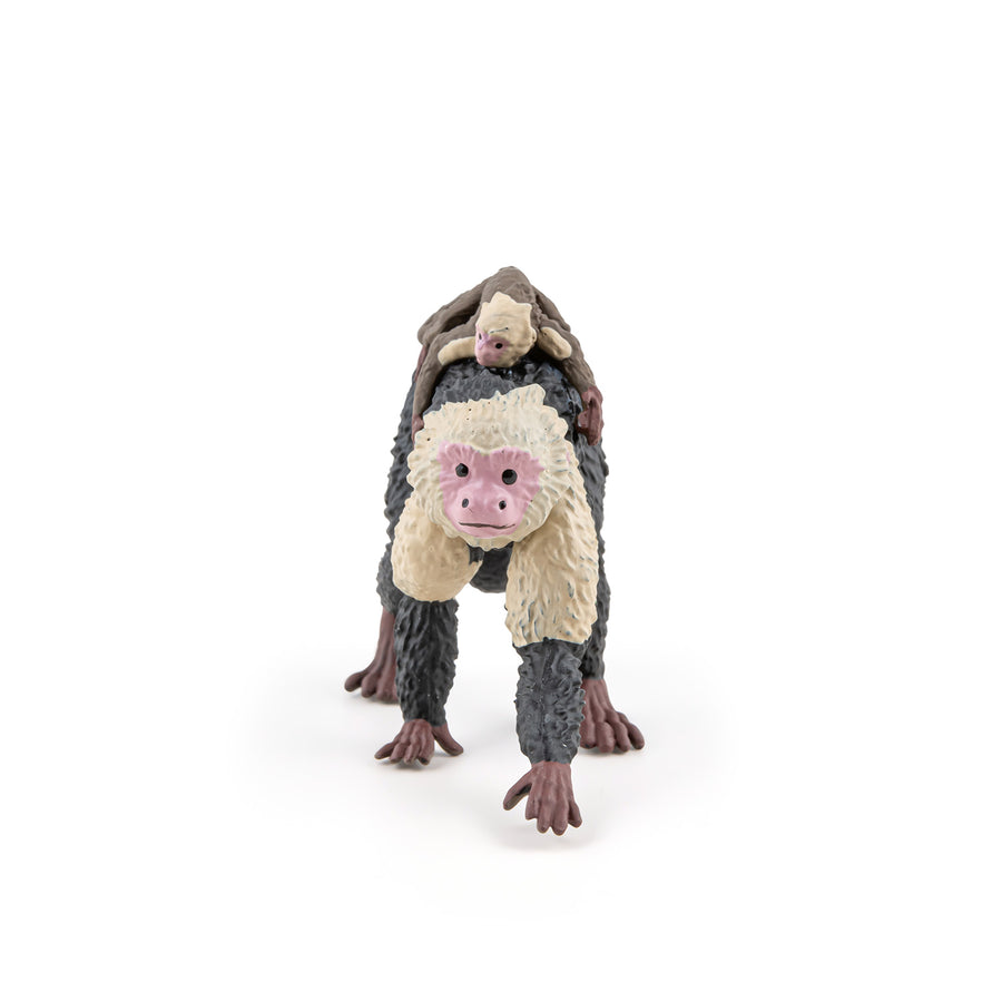 Capucin Papo en PVC, Collection Animaux sauvages, jouet éducatif idéal pour enfants et collectionneurs