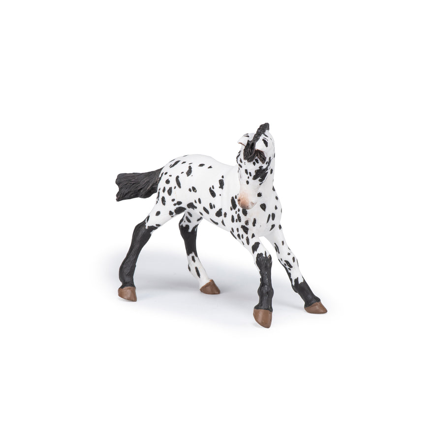 Poulain appaloosa noir Papo en PVC, Collection chevaux, jouet éducatif idéal pour enfants et collectionneurs