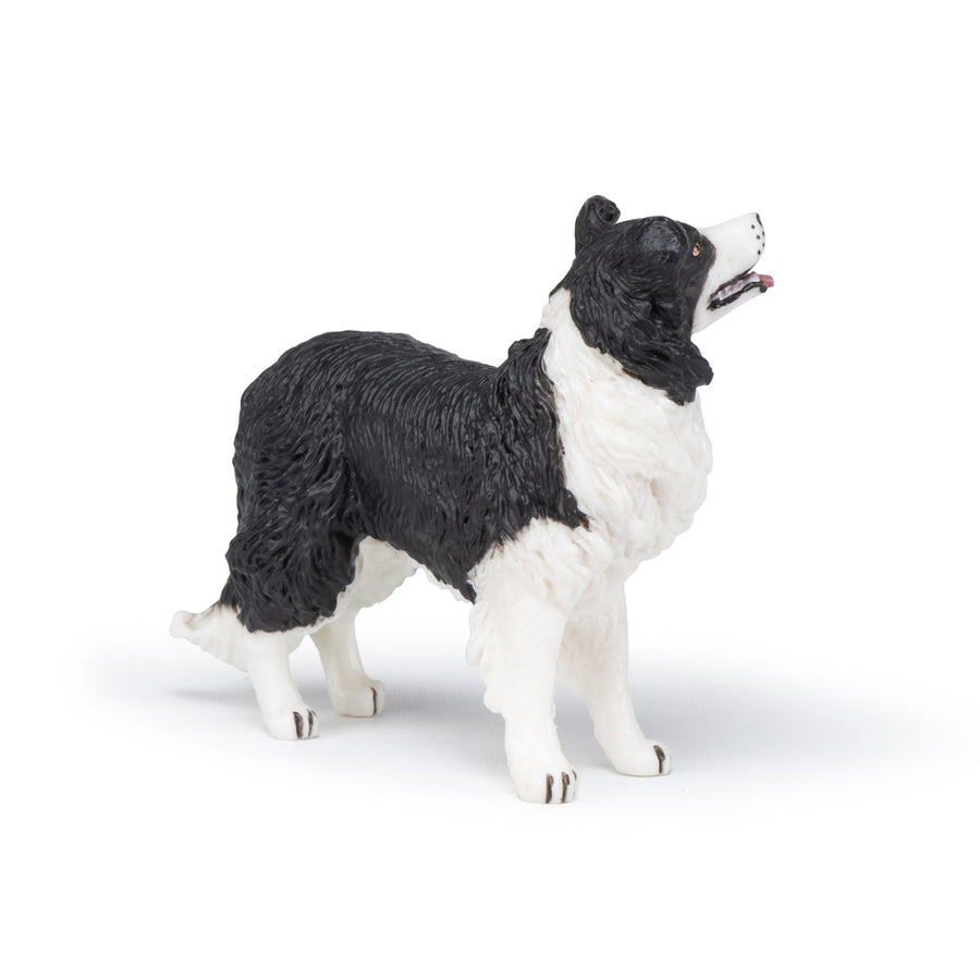 Figurine Border collie Papo en PVC, Collection chiens et chats, jouet éducatif idéal pour enfants et collectionneurs