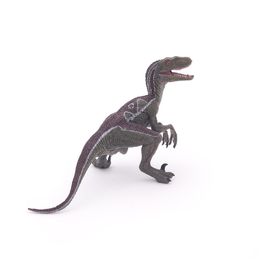 Vélociraptor Papo en PVC, Collection Dinosaures, jouet éducatif idéal pour enfants et collectionneurs