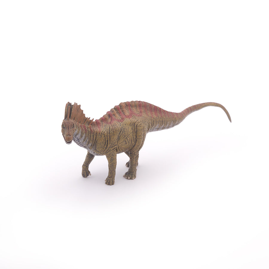 Amargasaurus Papo en PVC, Collection Dinosaures, jouet éducatif idéal pour enfants et collectionneurs