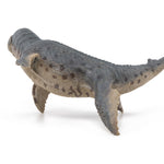 Kronosaurus Papo en PVC, Collection Dinosaures, jouet éducatif idéal pour enfants et collectionneurs