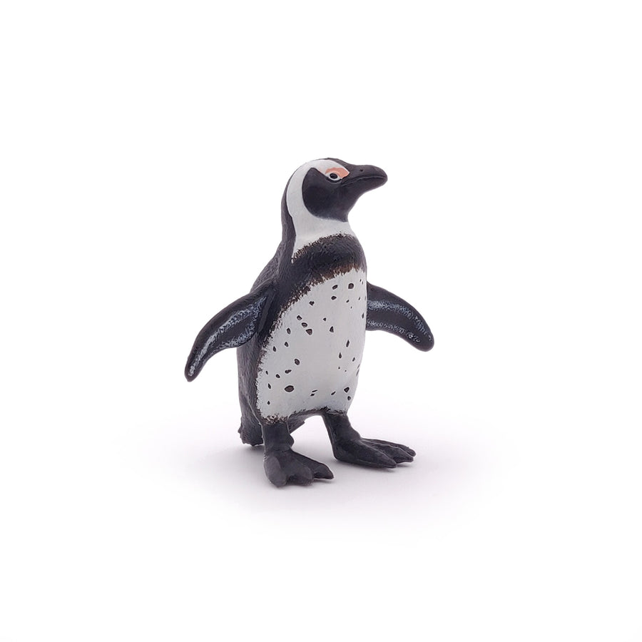 Manchot du Cap Papo en PVC, Collection animaux marins, jouet éducatif idéal pour enfants et collectionneurs