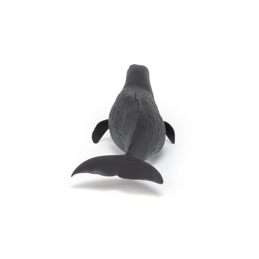 Cachalot Papo en PVC, Collection animaux marins, jouet éducatif idéal pour enfants et collectionneurs