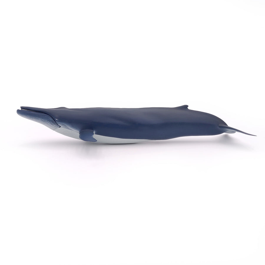 Figurine Baleine bleue Papo en PVC, Collection animaux marins, jouet éducatif idéal pour enfants et collectionneurs