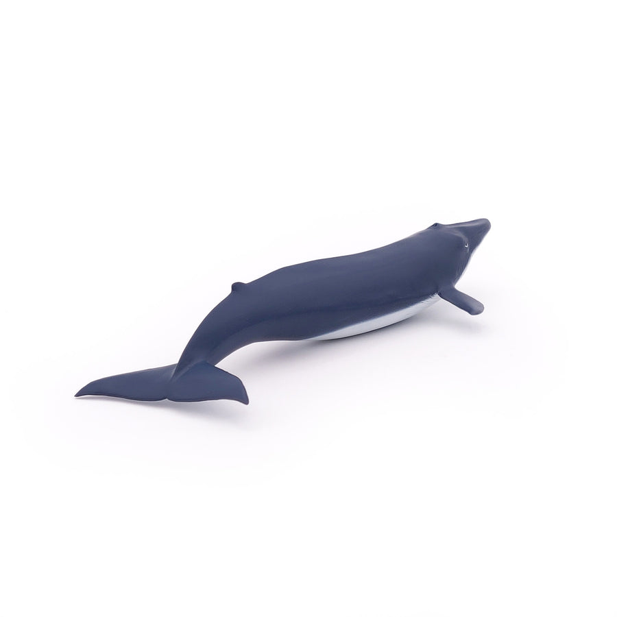 Figurine Bébé baleine bleue Papo en PVC, Collection animaux marins, jouet éducatif idéal pour enfants et collectionneurs