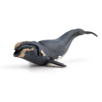 Figurine Baleine franche Papo en PVC, Collection animaux marins, jouet éducatif idéal pour enfants et collectionneurs