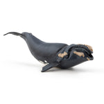 Figurine Baleine franche Papo en PVC, Collection animaux marins, jouet éducatif idéal pour enfants et collectionneurs